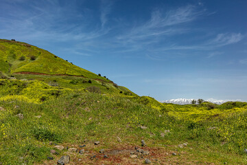 Mount Avital and Mount Hermon, spring!
