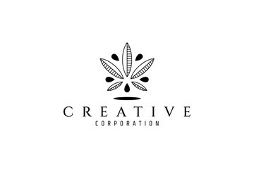 leaf logo with water splash background looks fresh