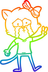 rainbow gradient line drawing cartoon cat