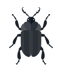 Small scarab beetle silhouette