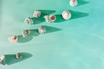 Top view summer background with shells at sunlight, seashell, conch on blue mint colored fon, stylish still life summer sea theme, abstract nature flat lay, copy space, flare from sun, gradient