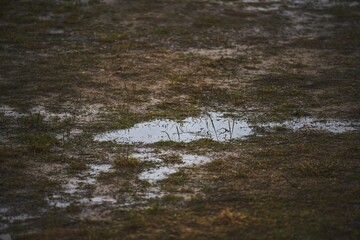 water on the ground. sewage and draining problems. heavy rain in rural areas with water puddles on the soil
