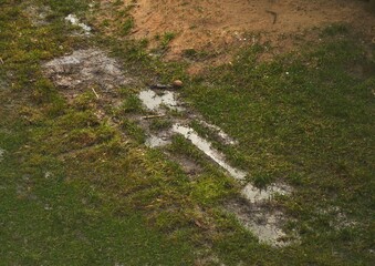 flooded field after heavy rain. problem of rainwater drainage