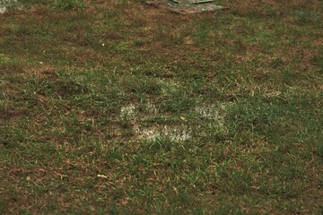 flooded field after heavy rain. problem of rainwater drainage