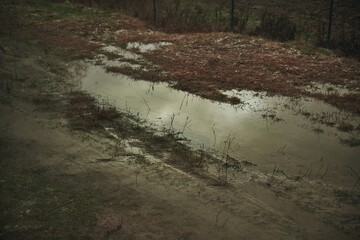water puddles on the grass. gravel and clay can not absorb rainwater.