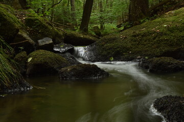 Fototapeta na wymiar Little forest stream at Krivoklatsko.