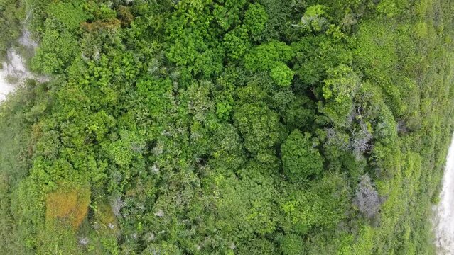Salin&oacute;polis Atalaia Salinas Par&aacute; Praia Cidade Litoral Amazonia Ruas Estrada F&eacute;rias Feriado Viajar Viagem Paraense Salinopolis Para Paisagem Litoranea A&eacute;rea Drone &Ocirc;nibus Carro