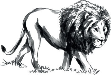 Hand brush sketch of a lion. Vector illustration.