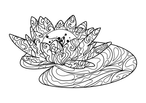 Lotus flower coloring book for adults PNG illustration with transparent background