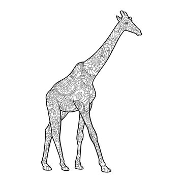 Giraffe coloring book for adults PNG illustration with transparent background