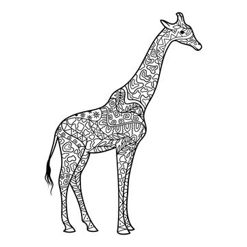 Giraffe coloring book for adults PNG illustration with transparent background