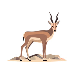 Horned gazelle standing in African grasslands - obrazy, fototapety, plakaty