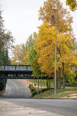 View to the Iron Bridge in Logroño, La Rioja, Spain, in autumn season.