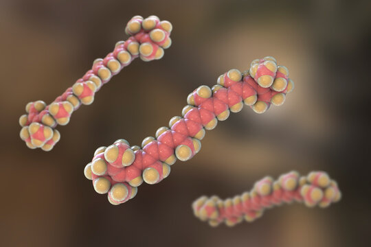 Molecular model of beta-carotene, precursor to vitamin A, 3d illustration