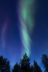 stunning aurora borealis	
