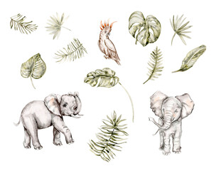 Watercolor hand drawn  illustration ofrom the jungle animals and a palm tree branchon a white background. Perfect for nursery poster decoration, stickers . invitation, greetings card, party decor.  