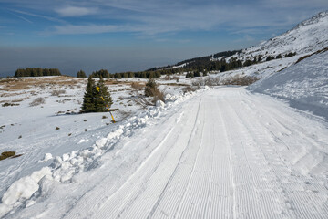 Fototapeta premium Winter landscape of Vitosha Mountain, Bulgaria