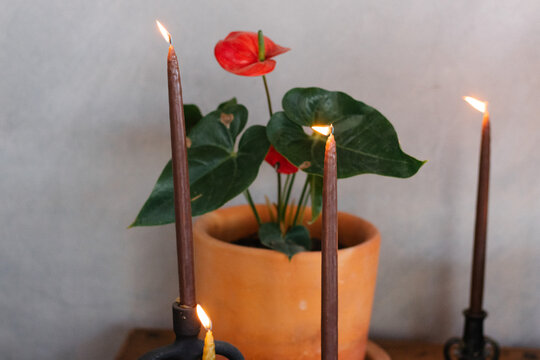 Velas y flor de anturio 