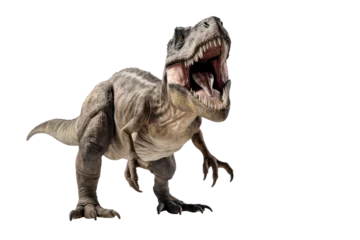 Foto auf Acrylglas Dinosaurier T-Rex dinosaur isolated on transparent background. Ai generated.