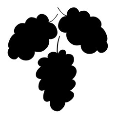 leaves and fruit of an exotic plant or grape, black silhouette on a white background