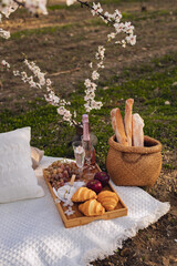 Picnic in spring under a tree in nature. A gourmet picnic in the park, laid out on a carpet around wine, cheese, fresh fruit, croissants.