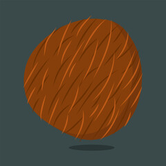 Coconut isolated on background vector illustration.