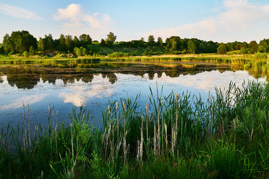 Blue water surface of the lagoon between green vegetation