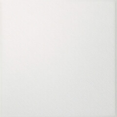 white paper texture