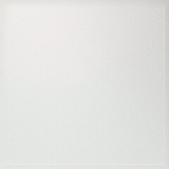 white paper texture