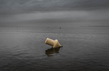 signal buoy at low tide