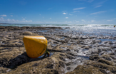 signal buoy at low tide