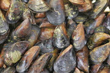 Thai mussels in metal on table top view 