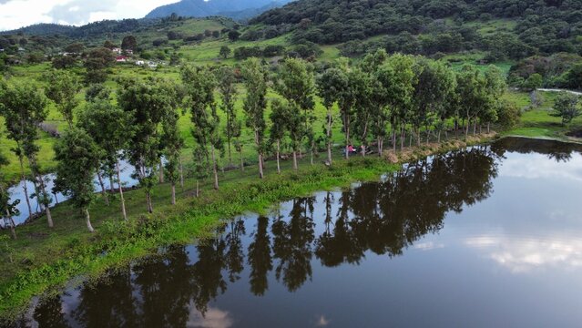 lake in the forest