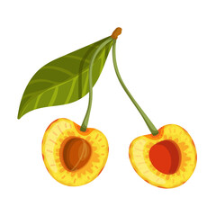 Ripe summer yellow cherry berry.Vector graphics.