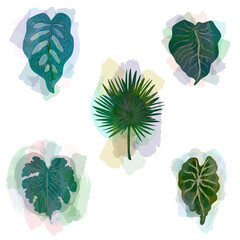 vector clipart, set of tropical leaves with translucent colored texture strokes