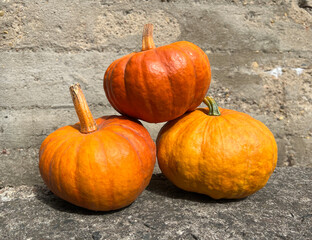 Pumpkins on grey concrete background. Three whole sweet pumpkins. Storage of vegetables