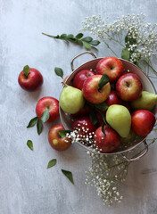 Naklejka na ściany i meble Shiny red apples in white colander. Close up photo of organic fruit on a table. Vibrant colors of seasonal fruit. Eating fresh concept. Bright grey background with copy space. 