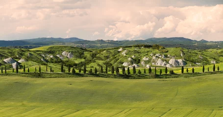 Fotobehang Toscane Alley with cypress trees near Siena, Crete Senesi, Tuscany, Italy  © Frank