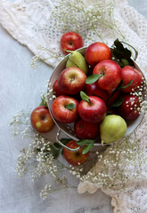Shiny red apples in white colander. Close up photo of organic fruit on a table. Vibrant colors of seasonal fruit. Eating fresh concept. Bright grey background with copy space. 