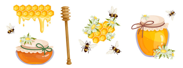 Set of honey jars, honeycombs and bee insects. Cartoon vector graphics.
