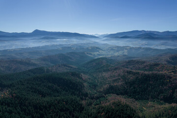 Autumn fog in the mountains, trees and forest and mountainous terrain. Top view of the pine forest.