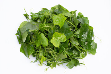 Lvy Gourd leaves on white background.