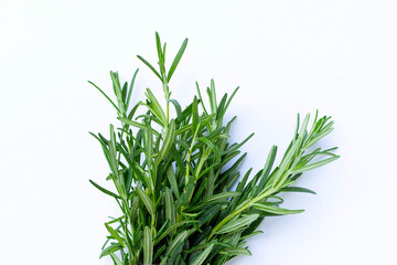 Rosemary on a white background.