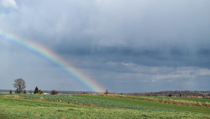 Tęcza na polach wiosenną porą po deszczu. © Adam Sadlak