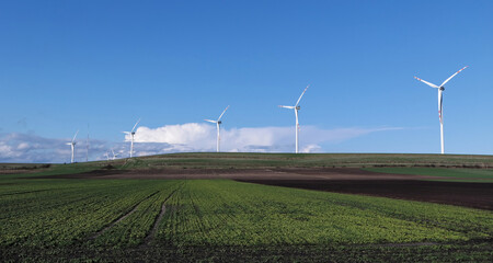 Farma wiatrowa, elektrownia źródeł odnawialnych w deszczowy wiosenny dzień. - obrazy, fototapety, plakaty