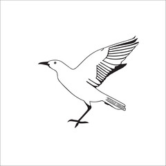 A flying bird line art vector.