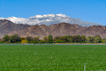 Fototapeta premium MOUNTAINS OVERLOOKING FARM