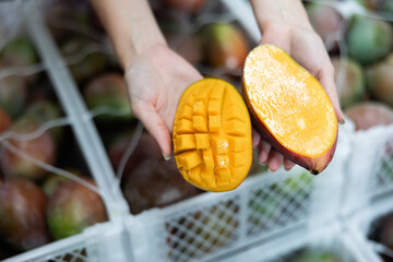 Close-up of sliced ripe juicy mango in hands of female fruit sorting factory worker..