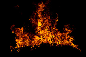 Fototapeta na wymiar Fire flame. Burn lights on a black background.