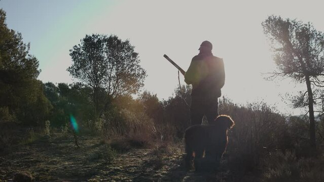 Hunter man holding shotgun while hunt with his dog in the nature at sunset.